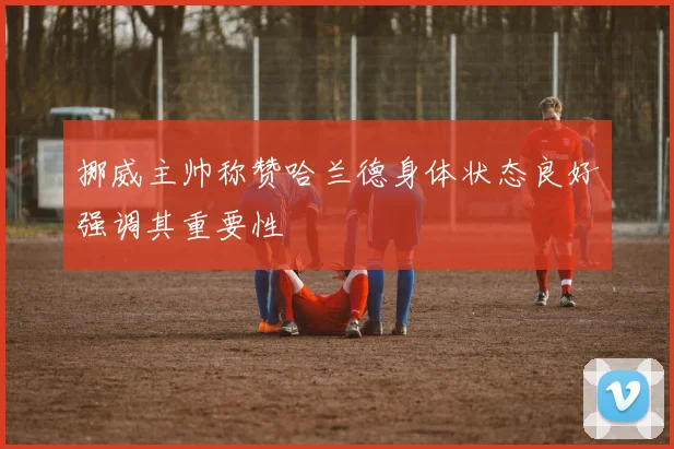 挪威主帅称赞哈兰德身体状态良好强调其重要性