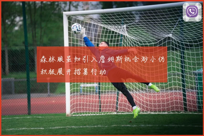 森林狼虽知引入詹姆斯机会渺小仍积极展开招募行动